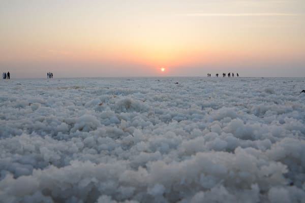 A Walk in the White Rann of Kutch